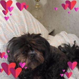 Meet your Posher, Connie